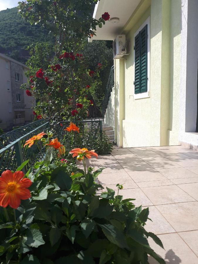 Apartments Simo Petrovac Extérieur photo