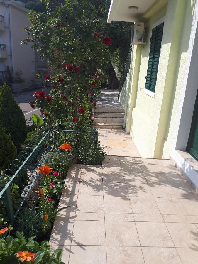 Apartments Simo Petrovac Extérieur photo