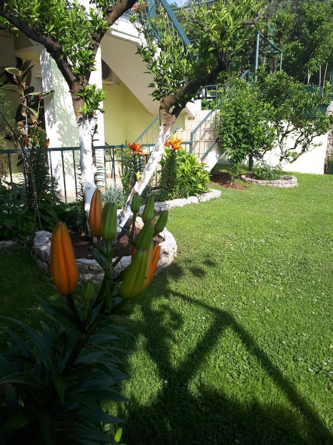 Apartments Simo Petrovac Extérieur photo