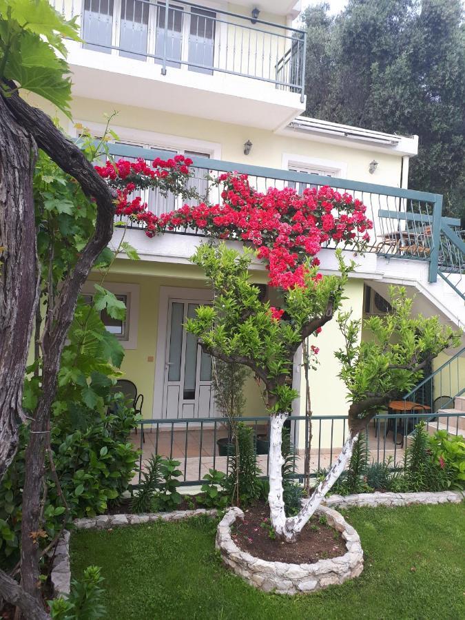 Apartments Simo Petrovac Extérieur photo