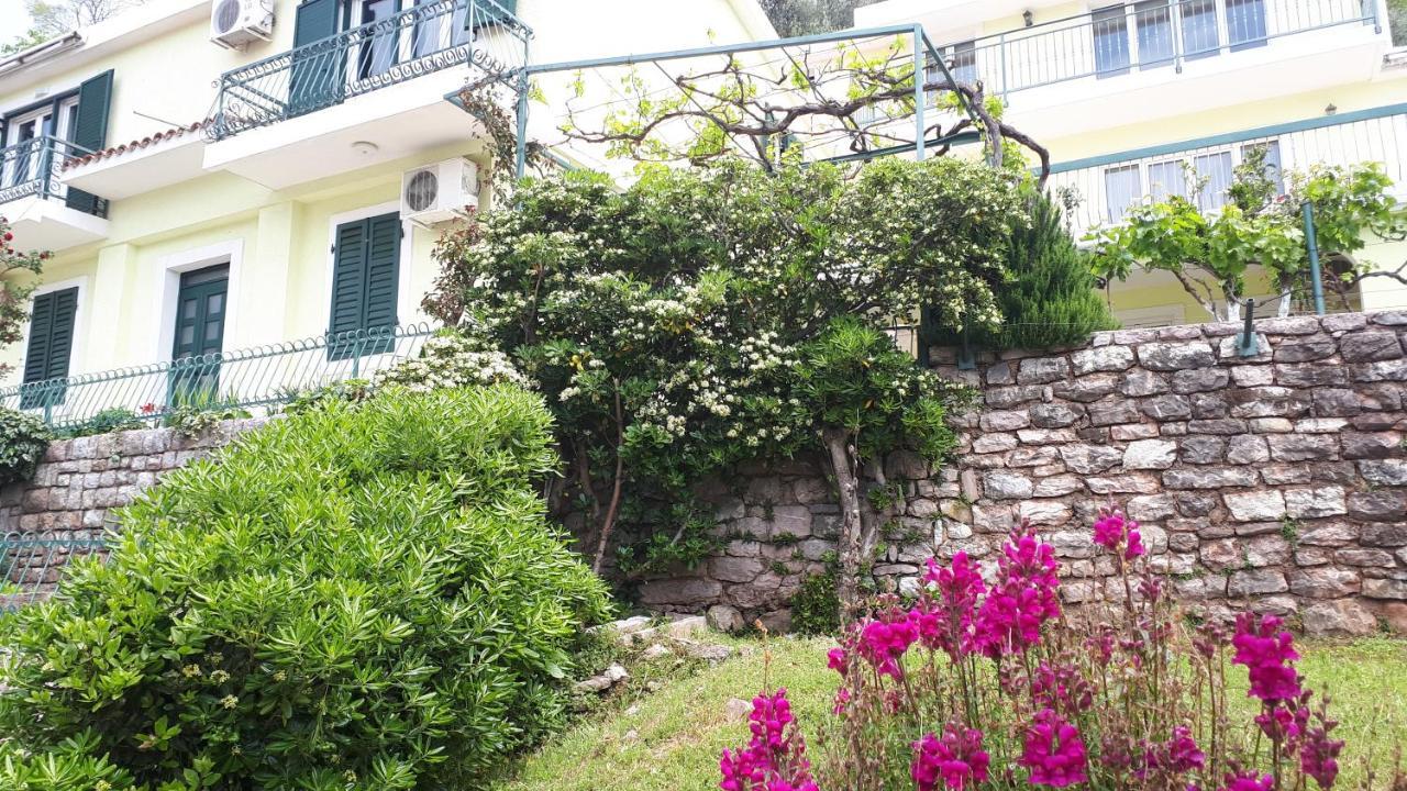 Apartments Simo Petrovac Extérieur photo