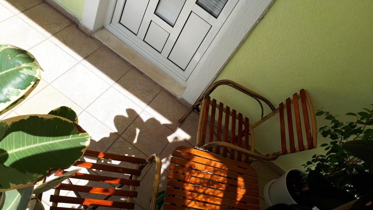 Apartments Simo Petrovac Extérieur photo